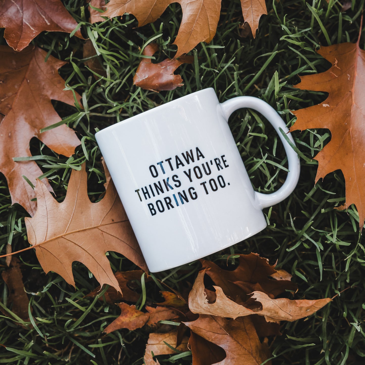 Ottawa Thinks You’re Boring Too Mug