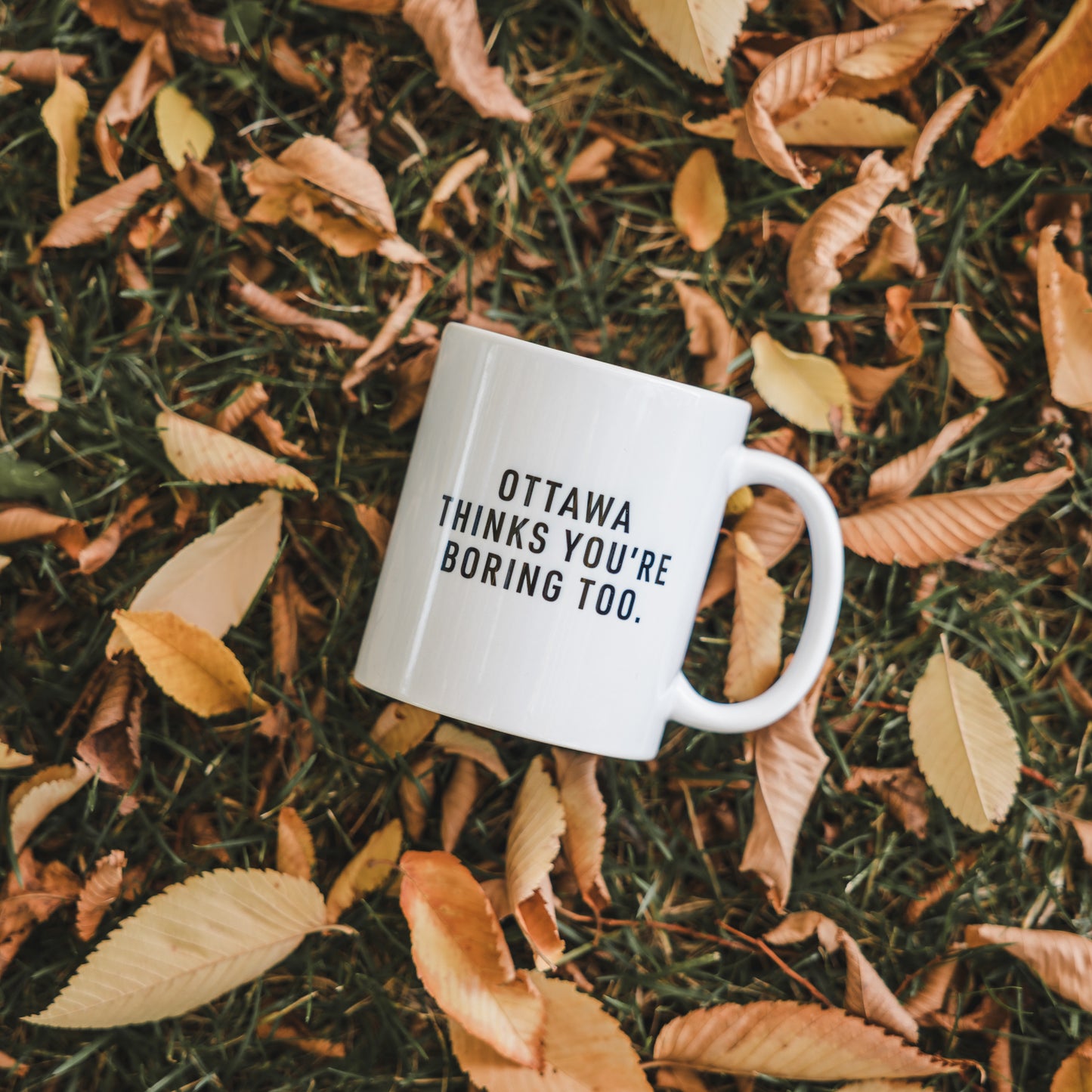 Ottawa Thinks You’re Boring Too Mug