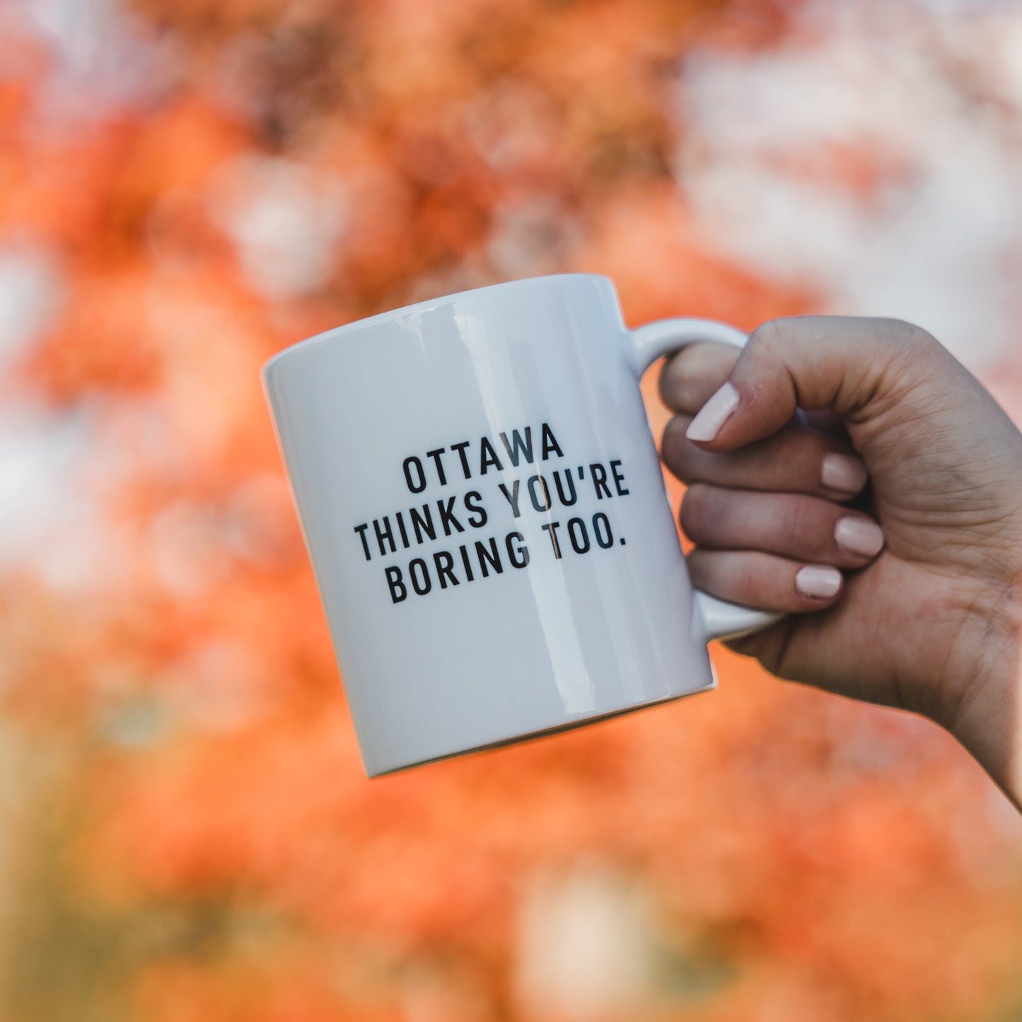 Ottawa Thinks You’re Boring Too Mug