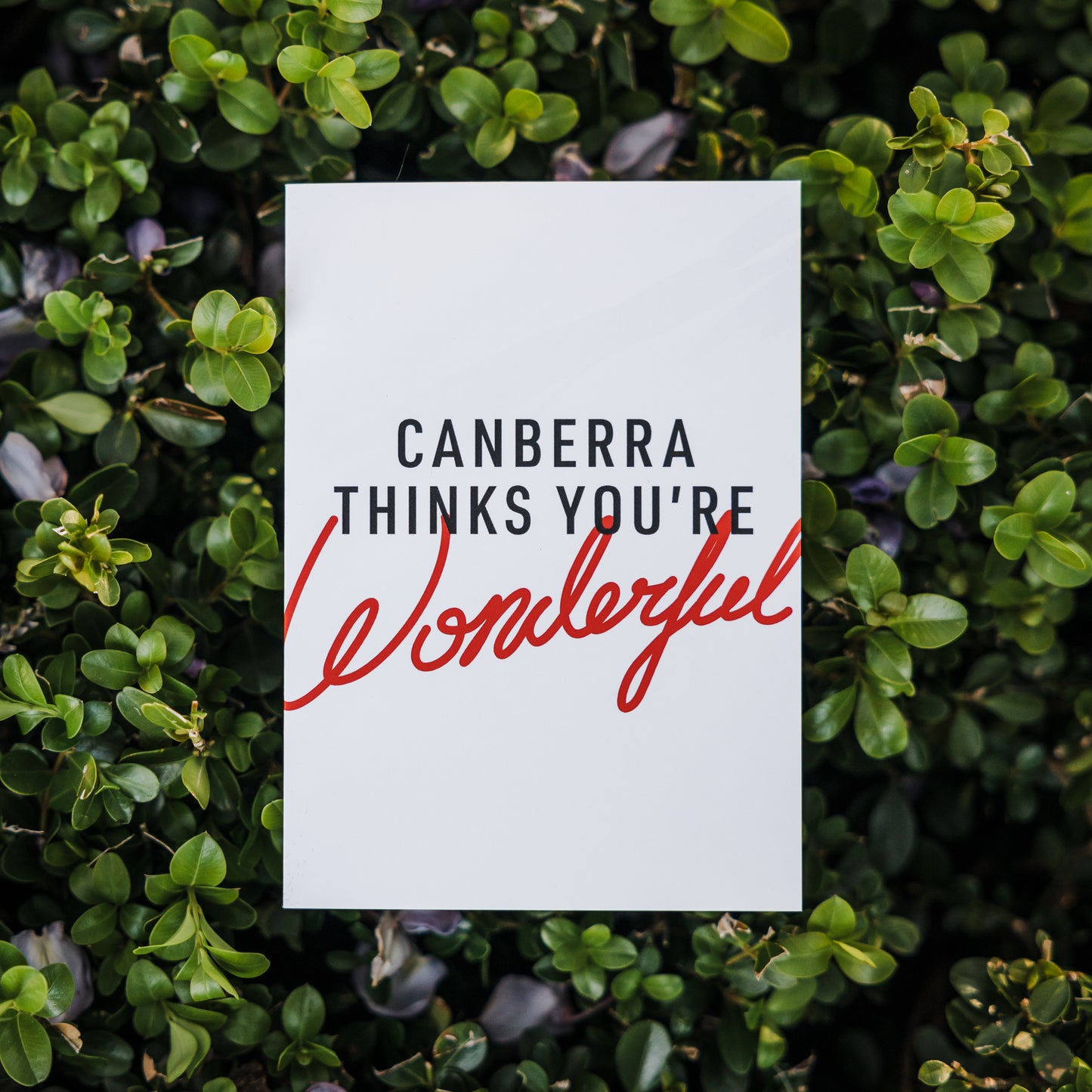 Canberra Thinks You're Wonderful Greeting Card