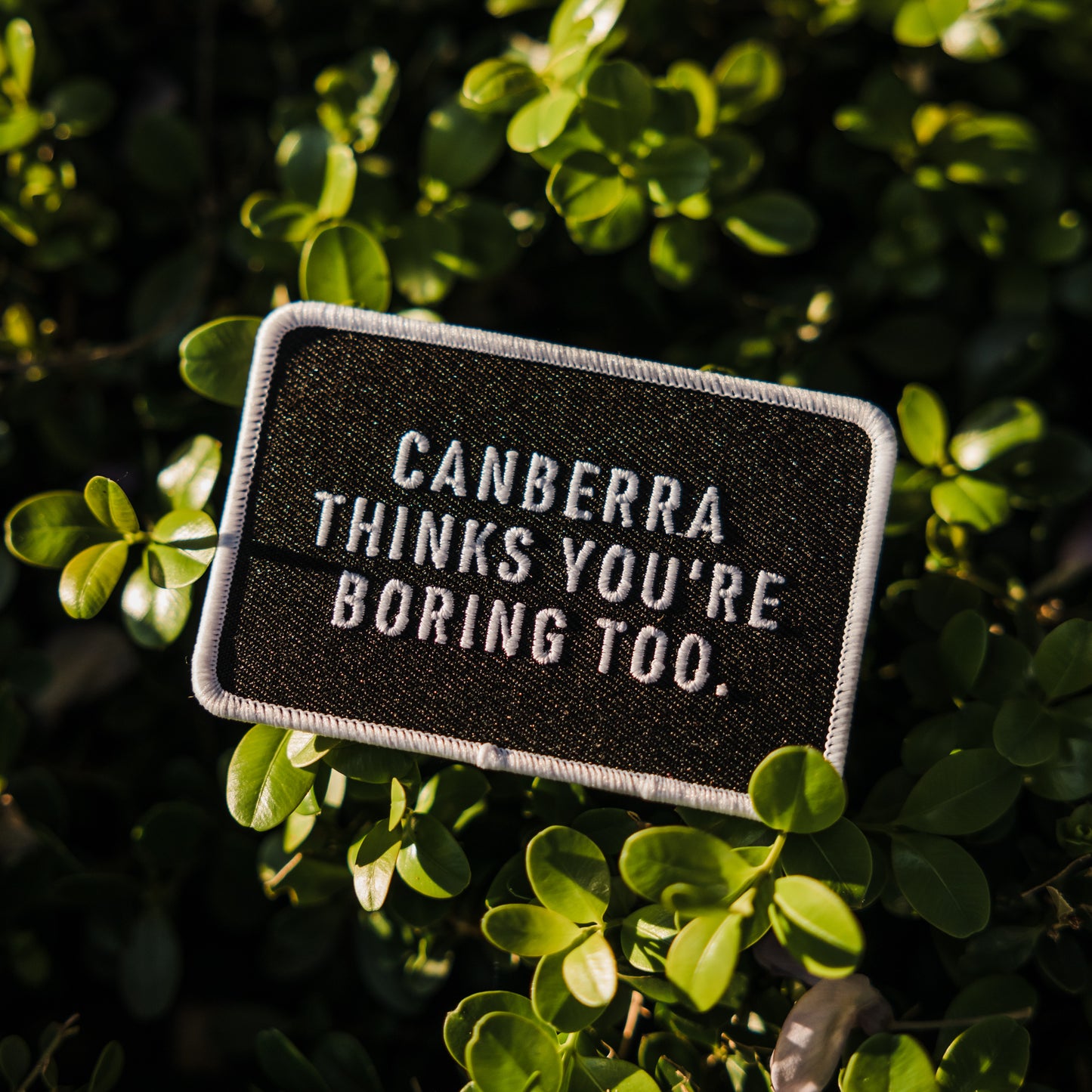 Canberra Thinks You're Boring Too Embroidered Patch