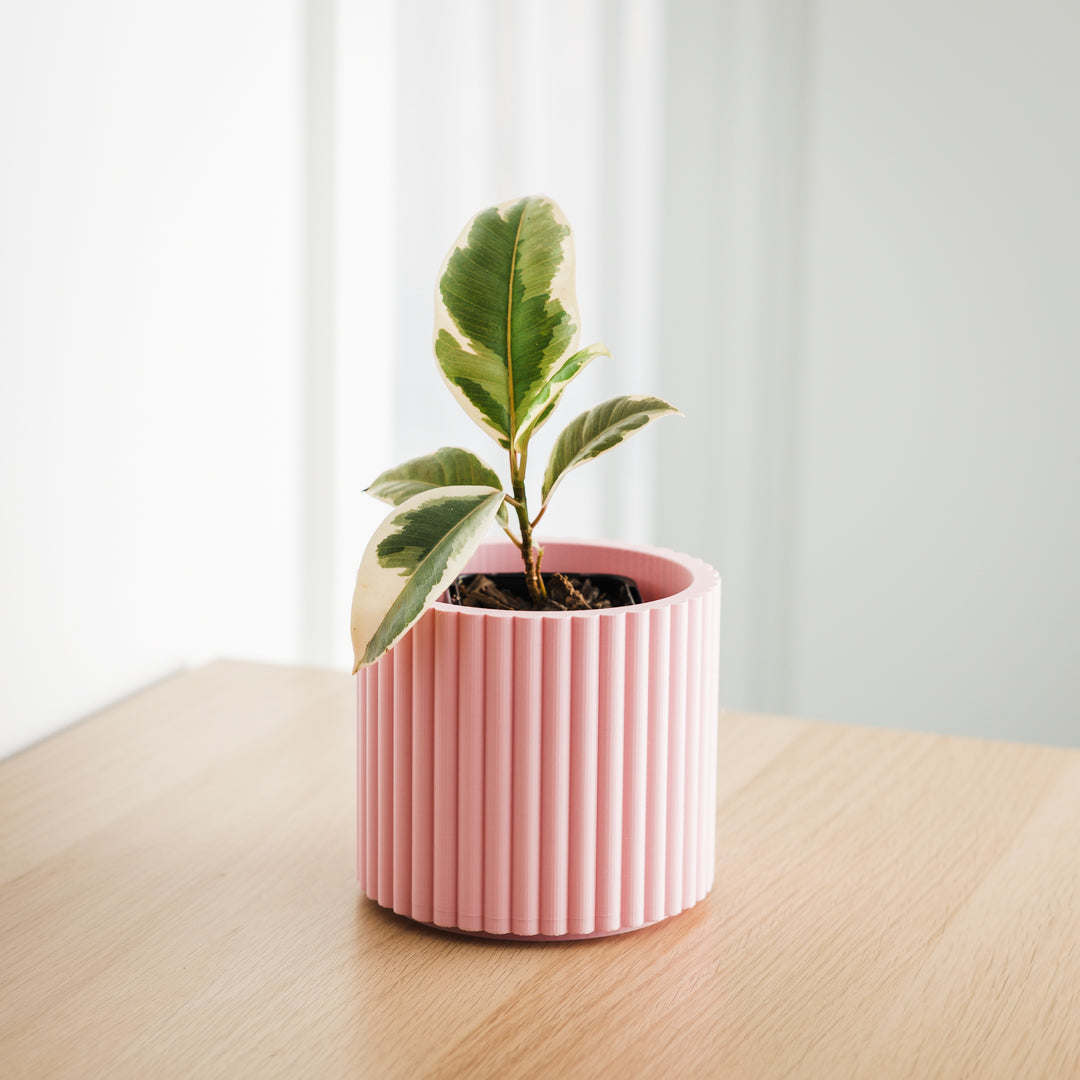 Lira Planter