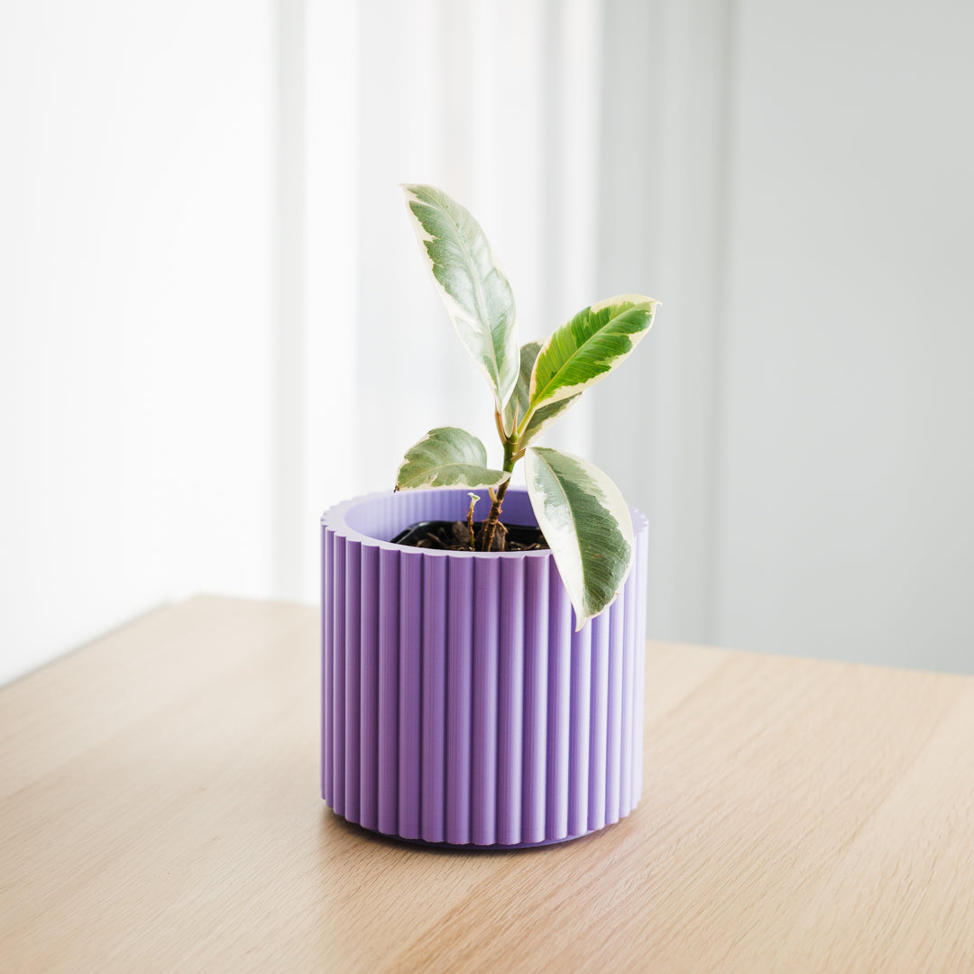 Lira Planter