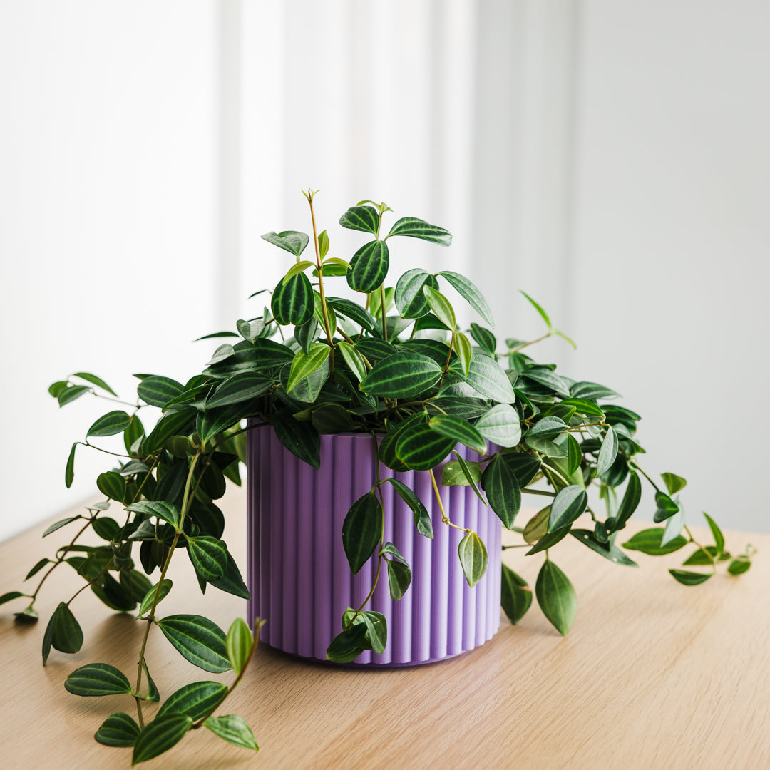 Lira Planter
