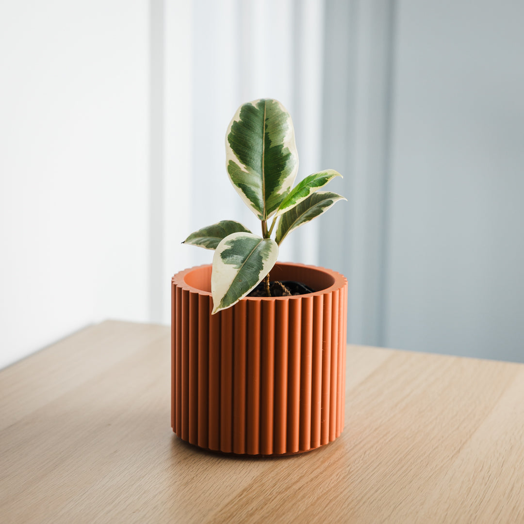 Lira Planter