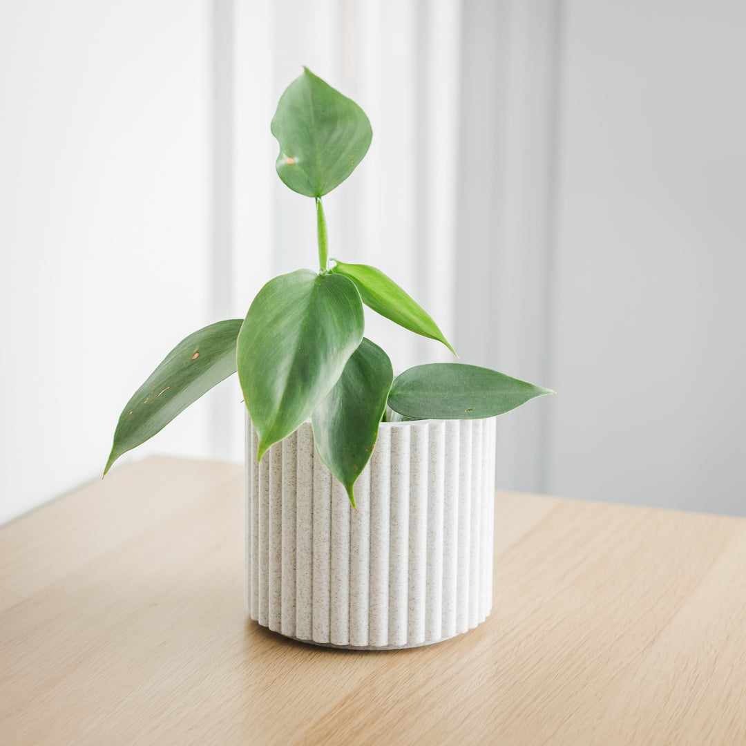 Lira Planter