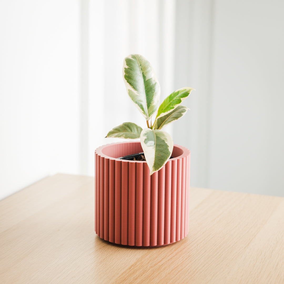 Lira Planter