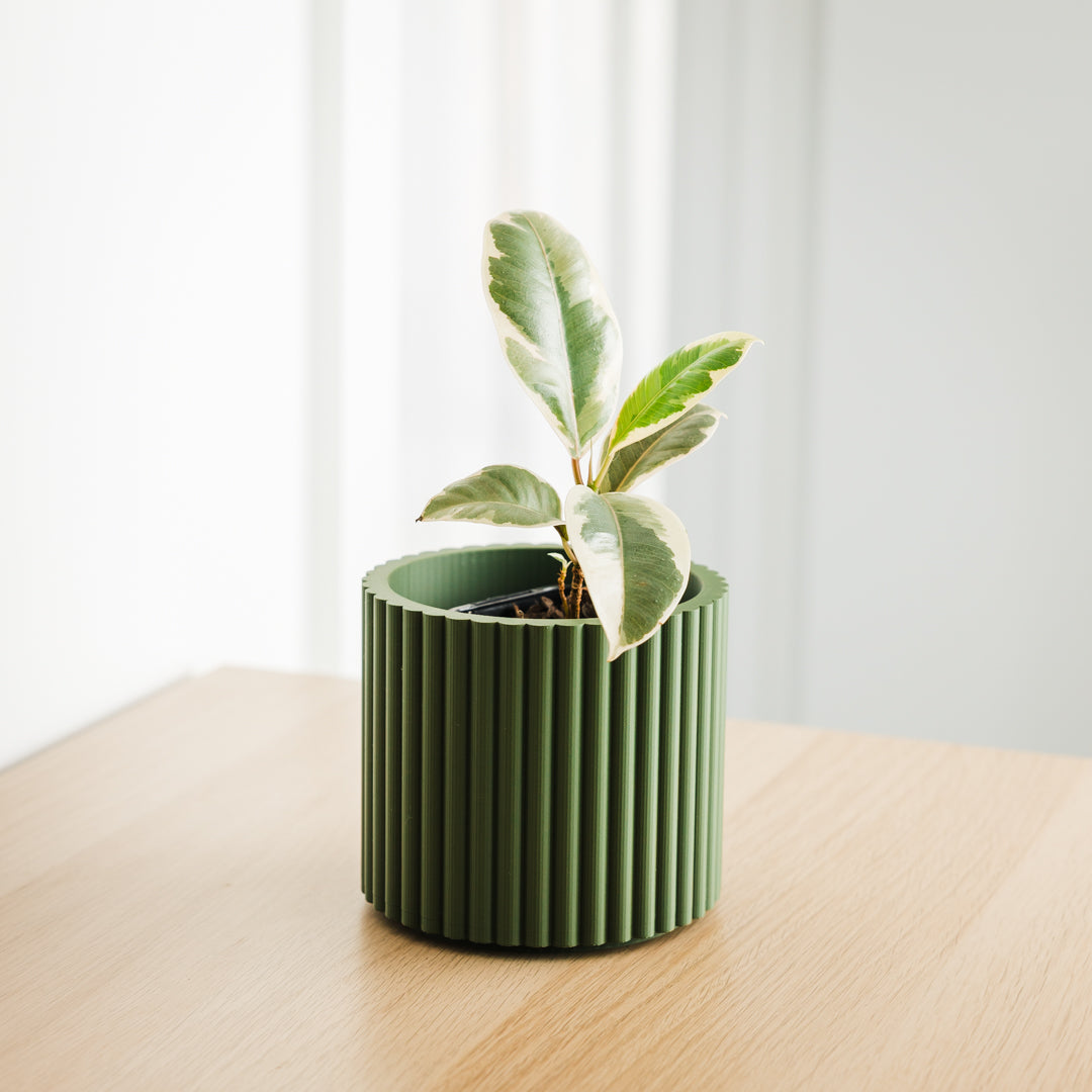 Lira Planter