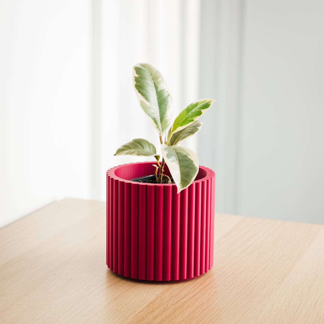 Lira Planter