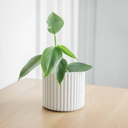 Lira Planter