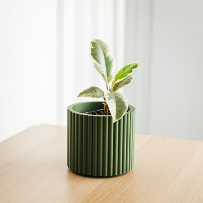 Lira Planter