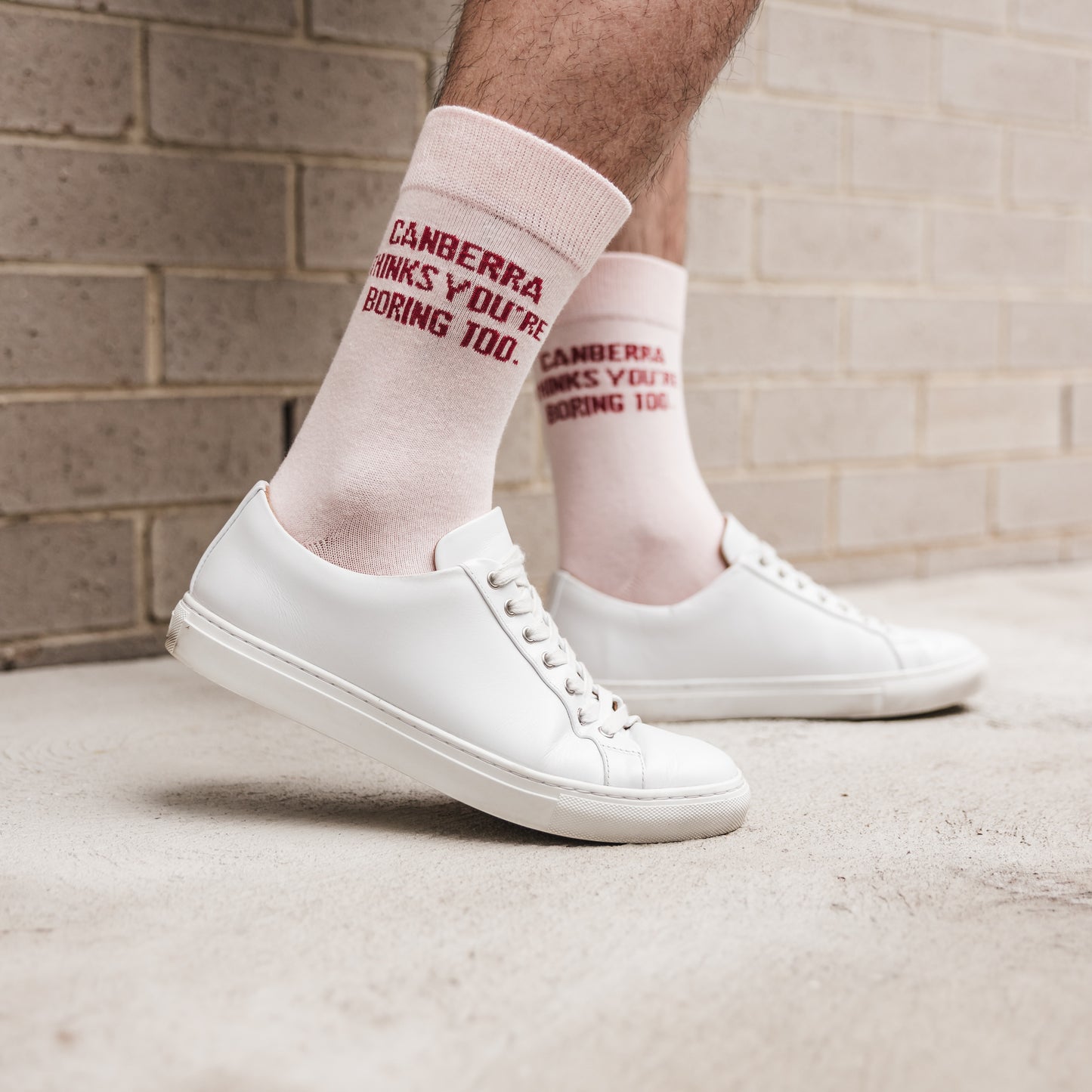 Canberra Thinks You're Boring Too Socks