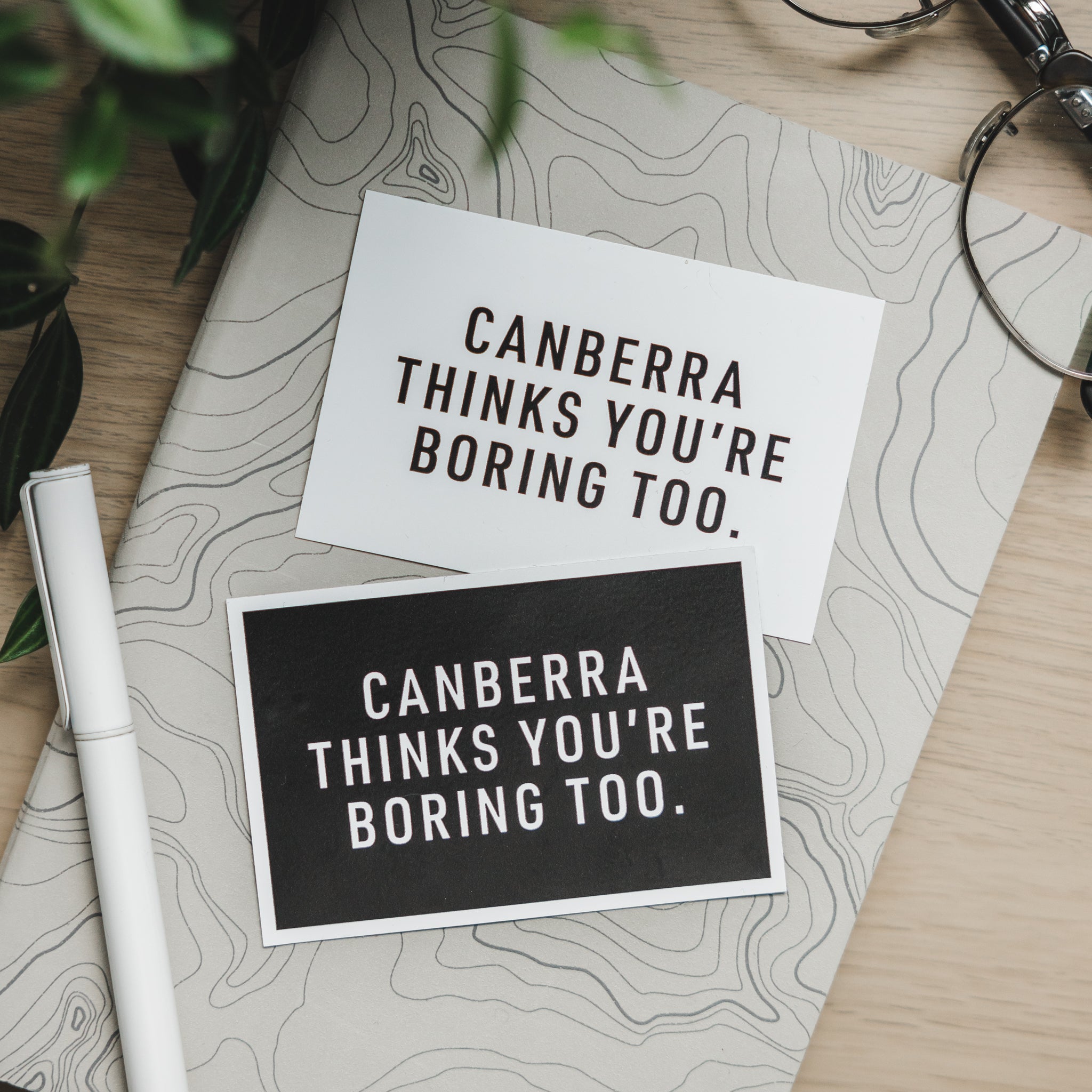 Canberra Thinks You're Boring Too Sticker – North/South