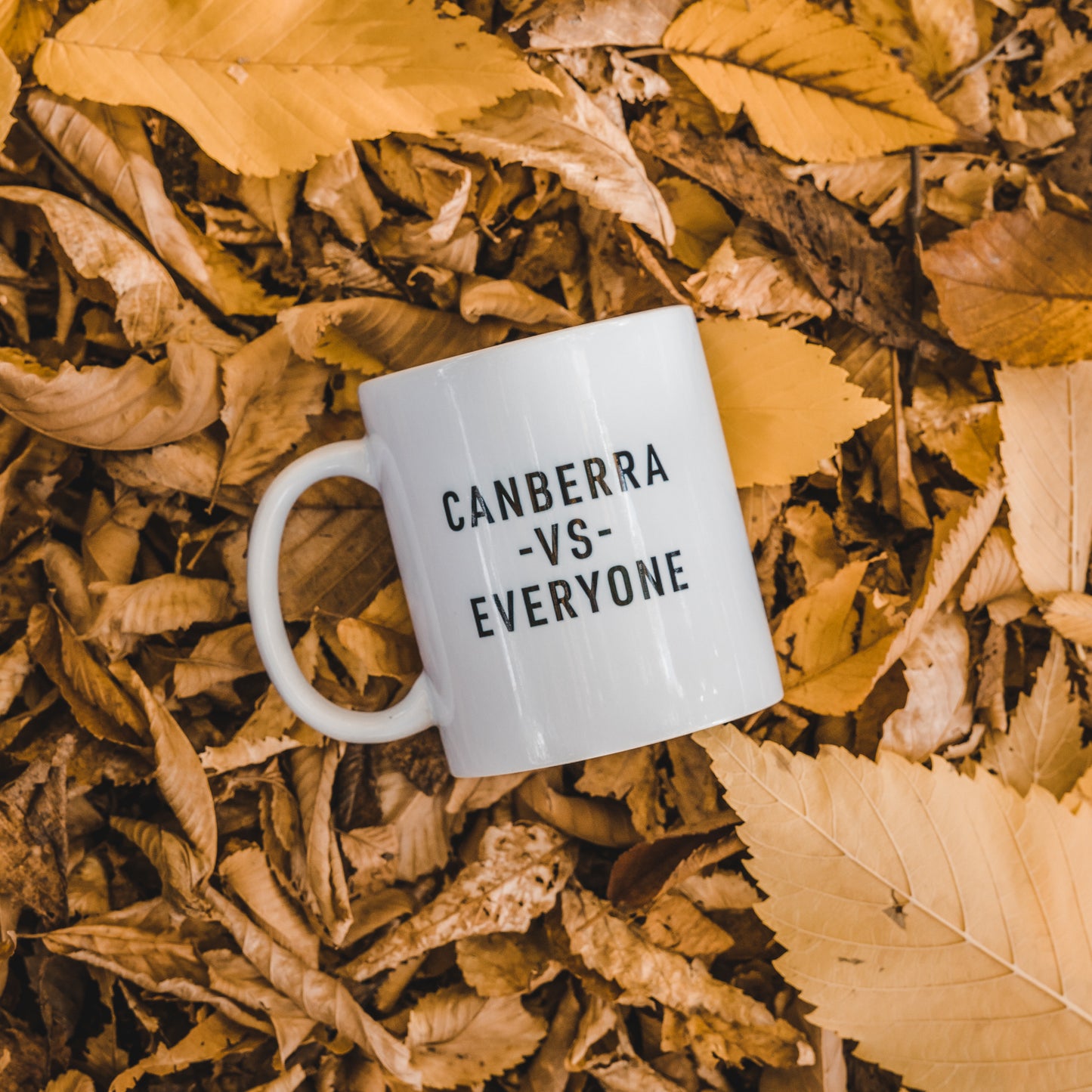 Canberra vs Everyone Mug